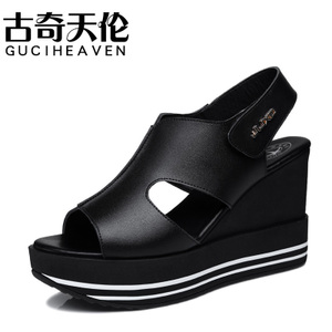 Guciheaven/古奇天伦 8409