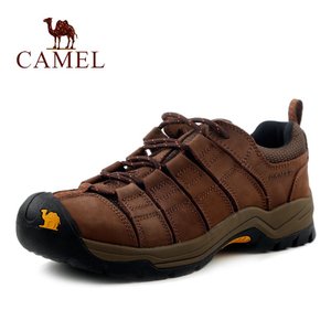 Camel/骆驼 A432309010