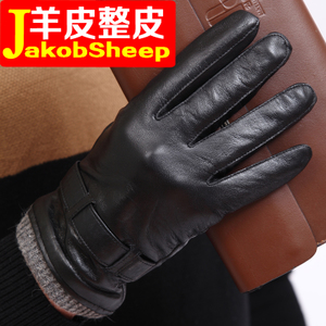 JakobSheep/雅格羊 8112