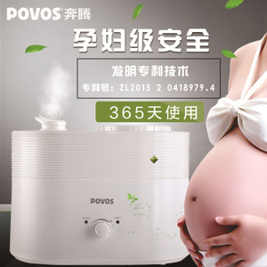 Povos/奔腾 PJ8002