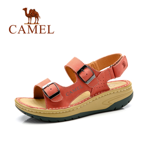 Camel/骆驼 A61326606