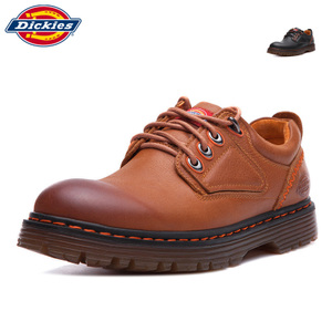 Dickies 163M50LXS24