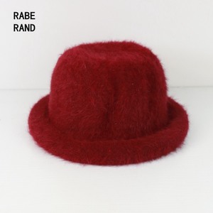 Rabe Rand dd110717