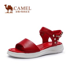 Camel/骆驼 A52828600