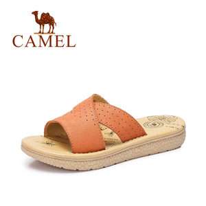 Camel/骆驼 A62027608
