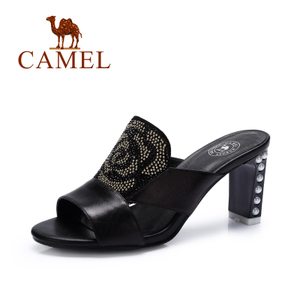 Camel/骆驼 A52173601