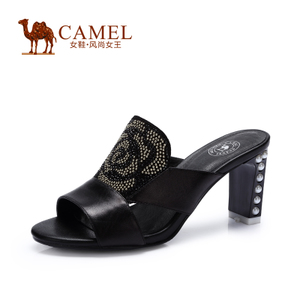 Camel/骆驼 A52173601