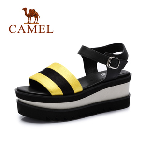 Camel/骆驼 A52811612