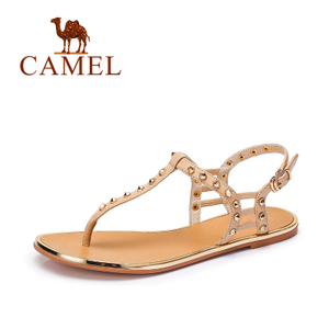 Camel/骆驼 A62869601