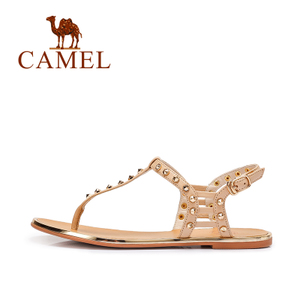 Camel/骆驼 A62869601