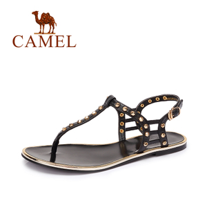Camel/骆驼 A62869601