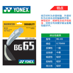 YY-NBG-95-BG65