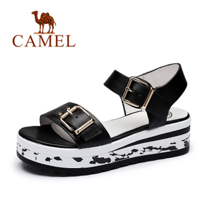 Camel/骆驼 A93168600