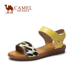 Camel/骆驼 A52153605