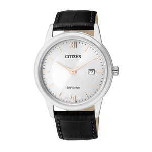 Citizen/西铁城 AW1236-11A