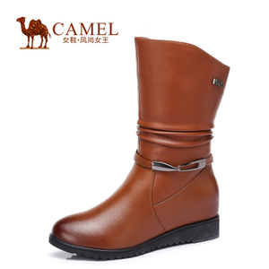 Camel/骆驼 A54504617