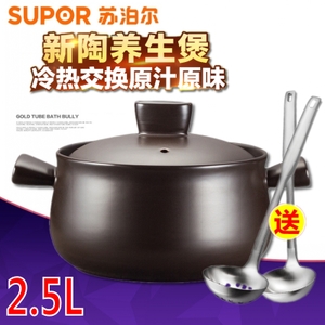 SUPOR/苏泊尔 TB25A1-2.5L