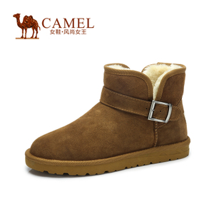 Camel/骆驼 432294019