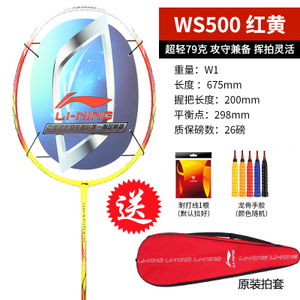 WINDSTORM-300-WS500