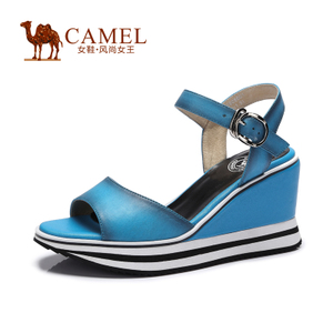Camel/骆驼 A52808601