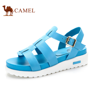 Camel/骆驼 A93037617