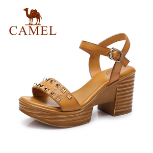 Camel/骆驼 A52153603