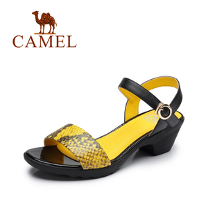 Camel/骆驼 A93153616