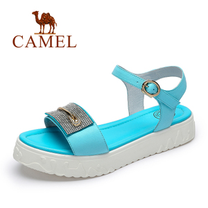 Camel/骆驼 A93110602