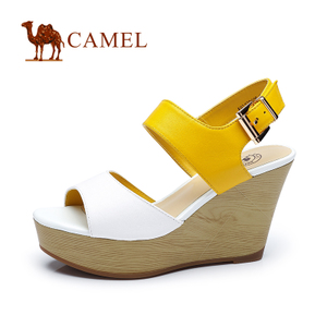 Camel/骆驼 A93120605