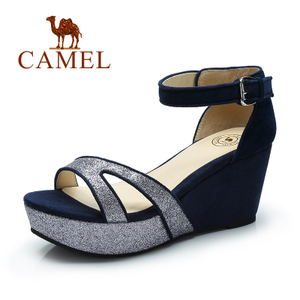 Camel/骆驼 A93103601