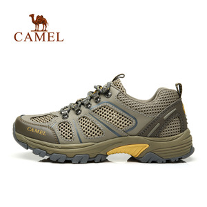 Camel/骆驼 412303002