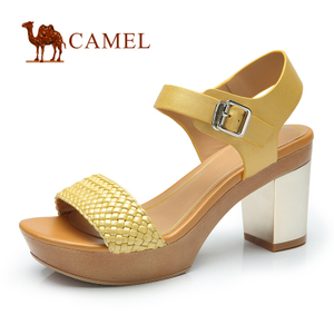 Camel/骆驼 A93198609