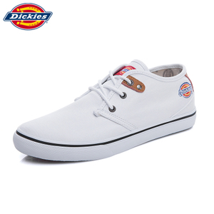 Dickies 161M50LXS62