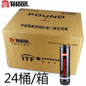 Teloon/天龙 TELOON-P4