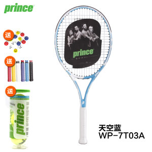 prince WP-7T03A