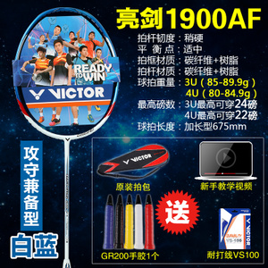 VICTOR/威克多 1900AFVS100