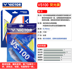 VICTOR/威克多 VS100