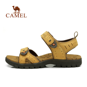 Camel/骆驼 A82396600