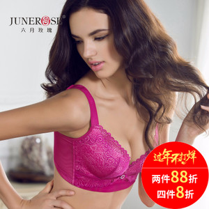 Junerose/六月玫瑰 R440031