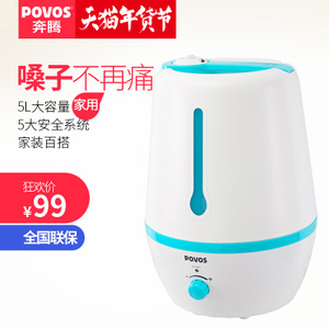 Povos/奔腾 PW138