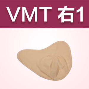 VMT1