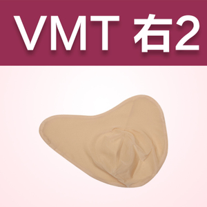 VMT2