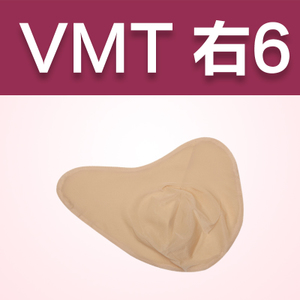 VMT6