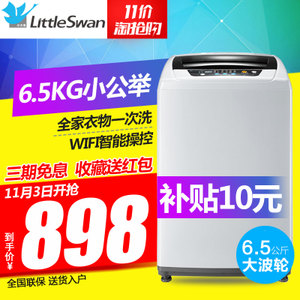Littleswan/小天鹅 TB65-easy60W
