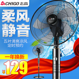 Chigo/志高 FS-45-18A8