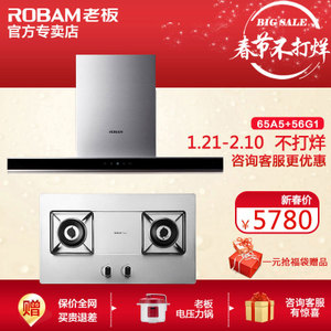 Robam/老板 65A556G1