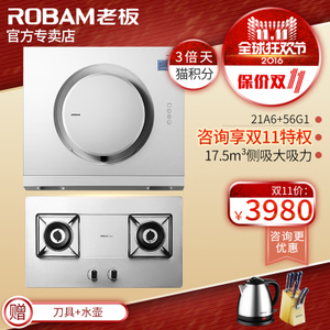 Robam/老板 21A656G1