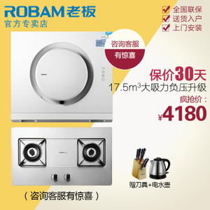 Robam/老板 21A656G1