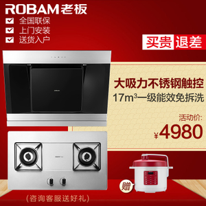 Robam/老板 25A356G1