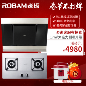 Robam/老板 25A356G1